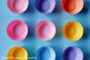 cupcake liners pattie pans